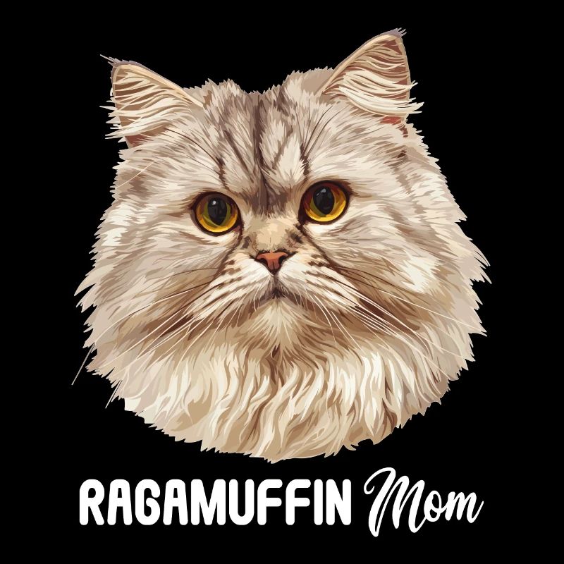 Ragamuffin Chaton Ragamuffin Chat