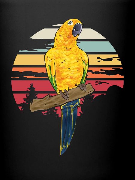 Perruche Perroquet Perruche Oiseau