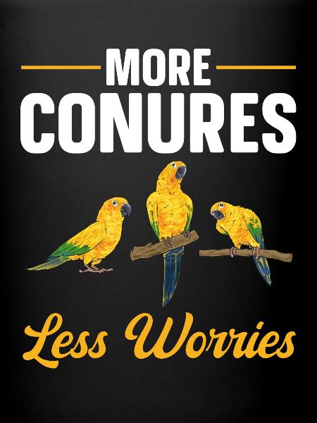 Perruche Perroquet Perruche Oiseau