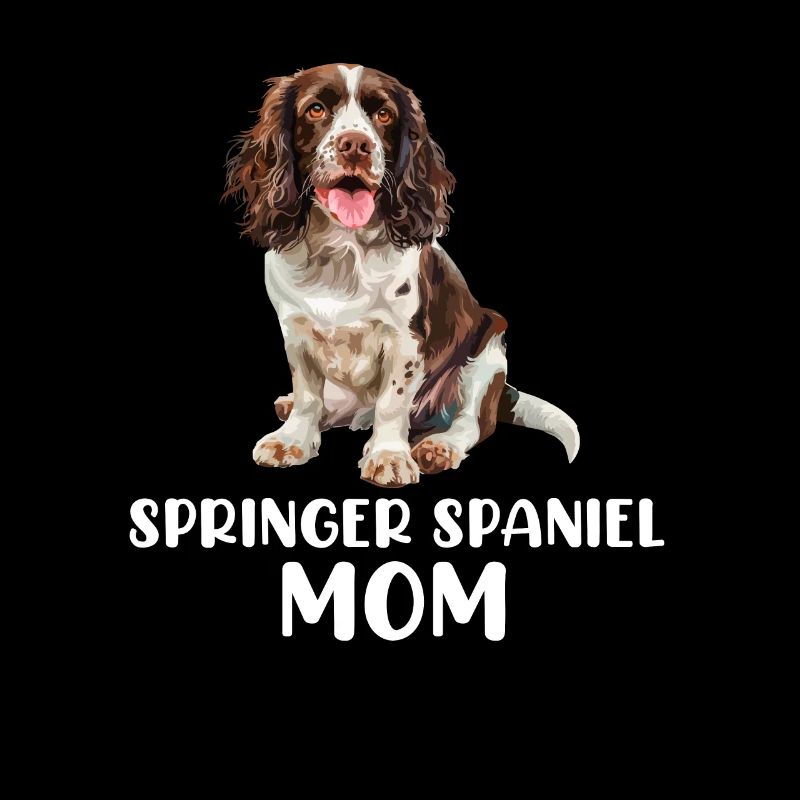 Épagneul springer