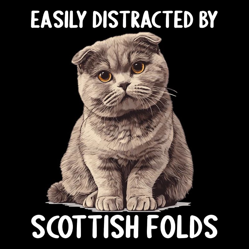 Scottish Fold Kätzchen Scottish Fold Katze