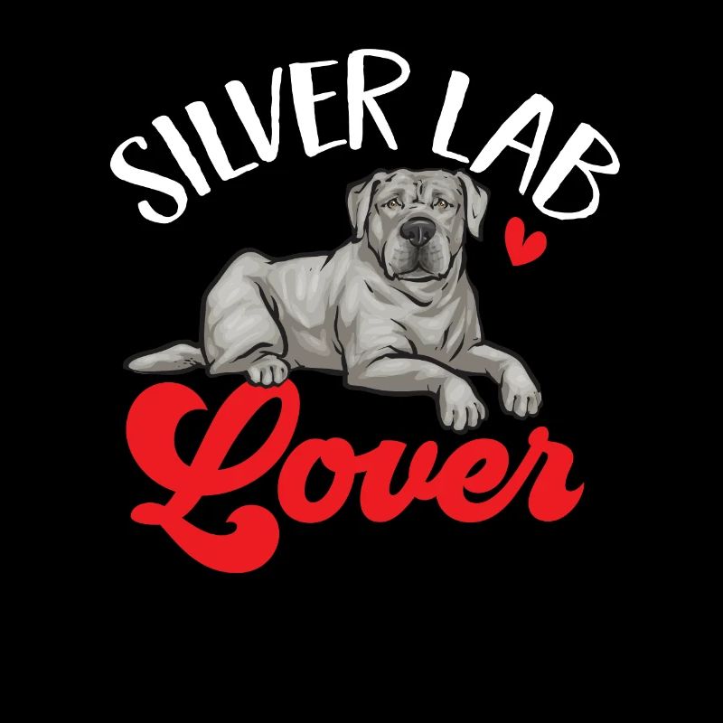 Silver Labrador Retriever Silver Lab