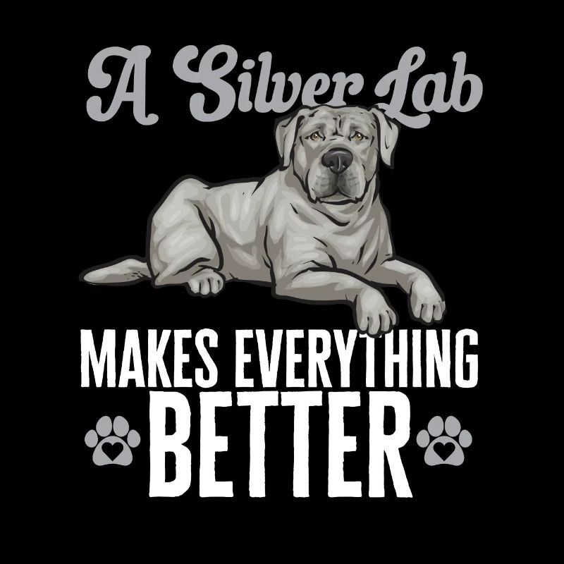 Silver Labrador Retriever Silver Lab