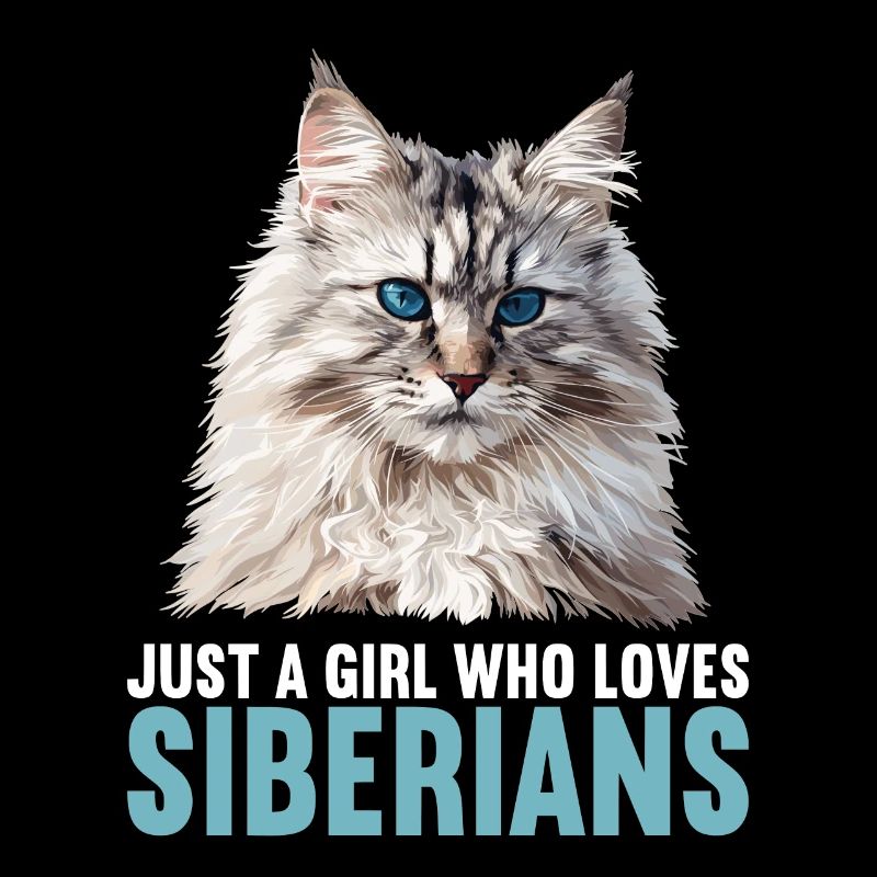 Siberian Cat Sibirische Katze