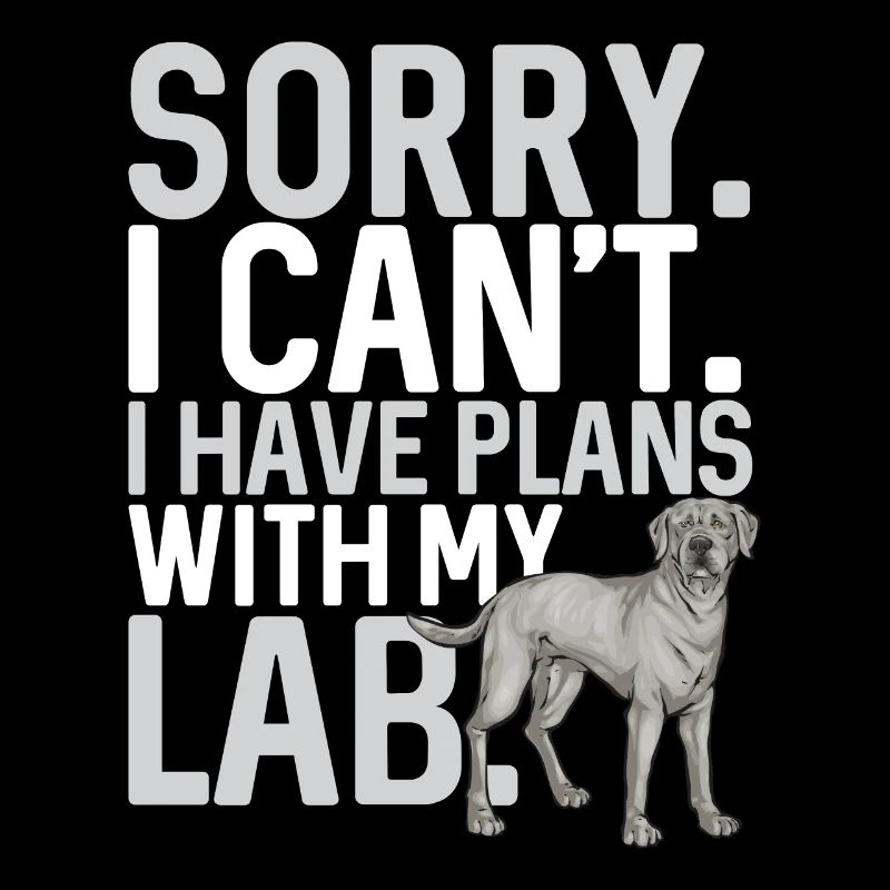 Silver Labrador Retriever Silver Lab