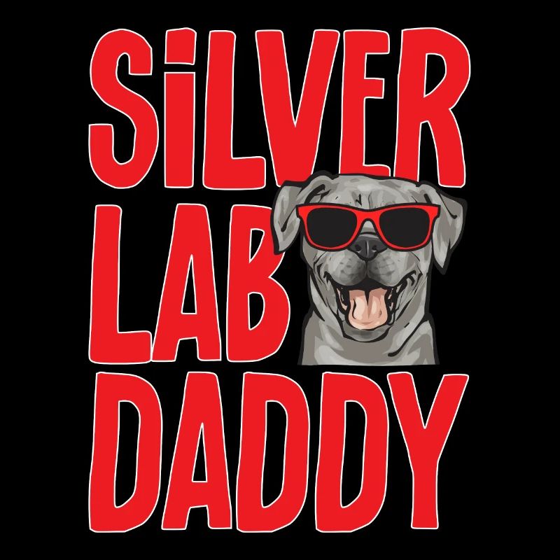 Silver Labrador Retriever Silver Lab