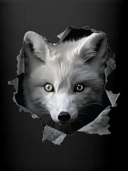 Arctic Wolf