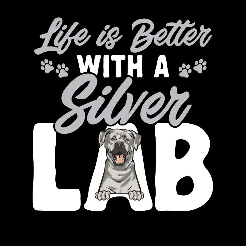 Silver Labrador Retriever Silver Lab