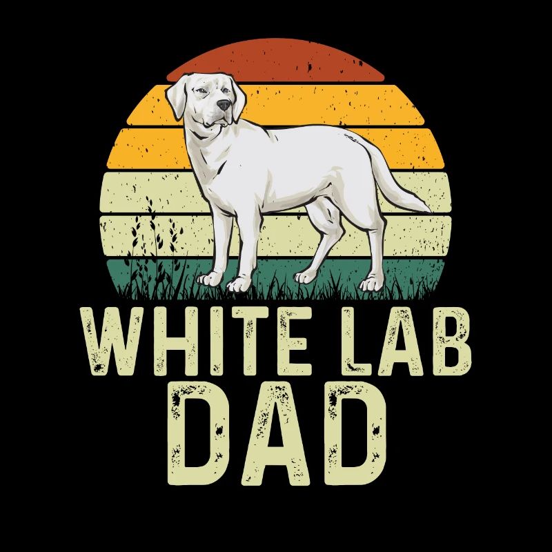 Labrador Retriever blanc Labrador Labrador blanc