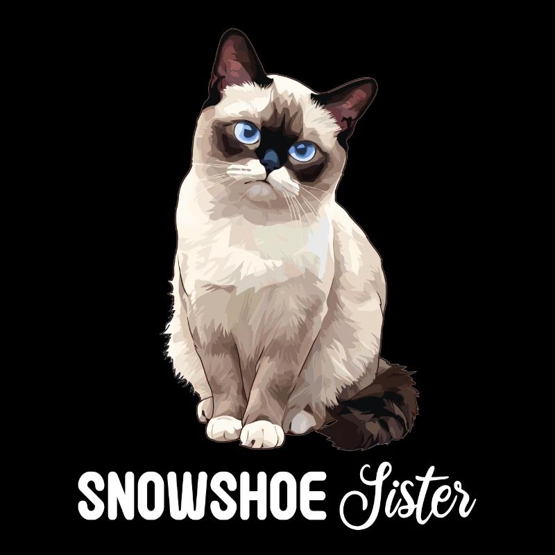 Chaton raquette Chat raquette