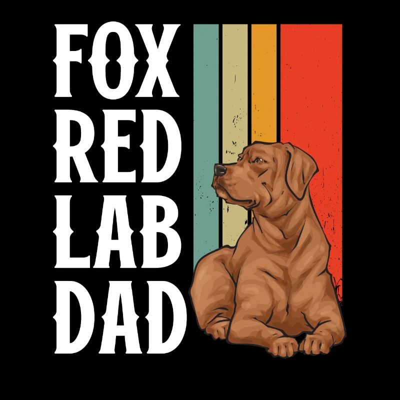 Fuchsroter Labrador Retriever Fox Red Labrador