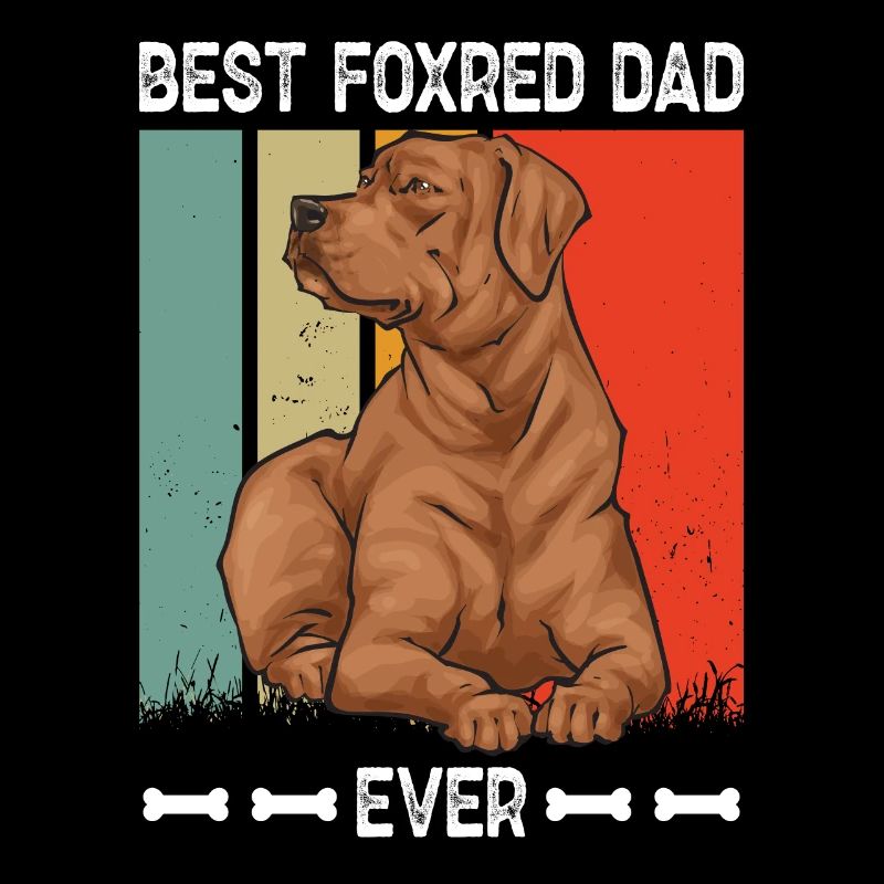 Fuchsroter Labrador Retriever Fox Labrador rouge