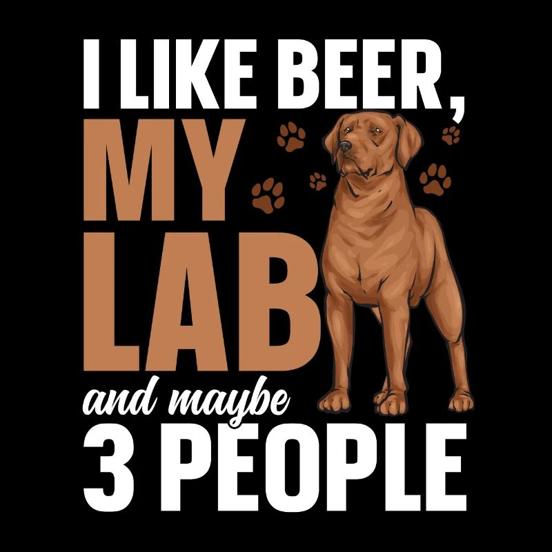 Fuchsroter Labrador Retriever Fox Red Labrador