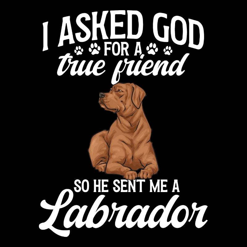 Fuchsroter Labrador Retriever Fox Labrador rouge