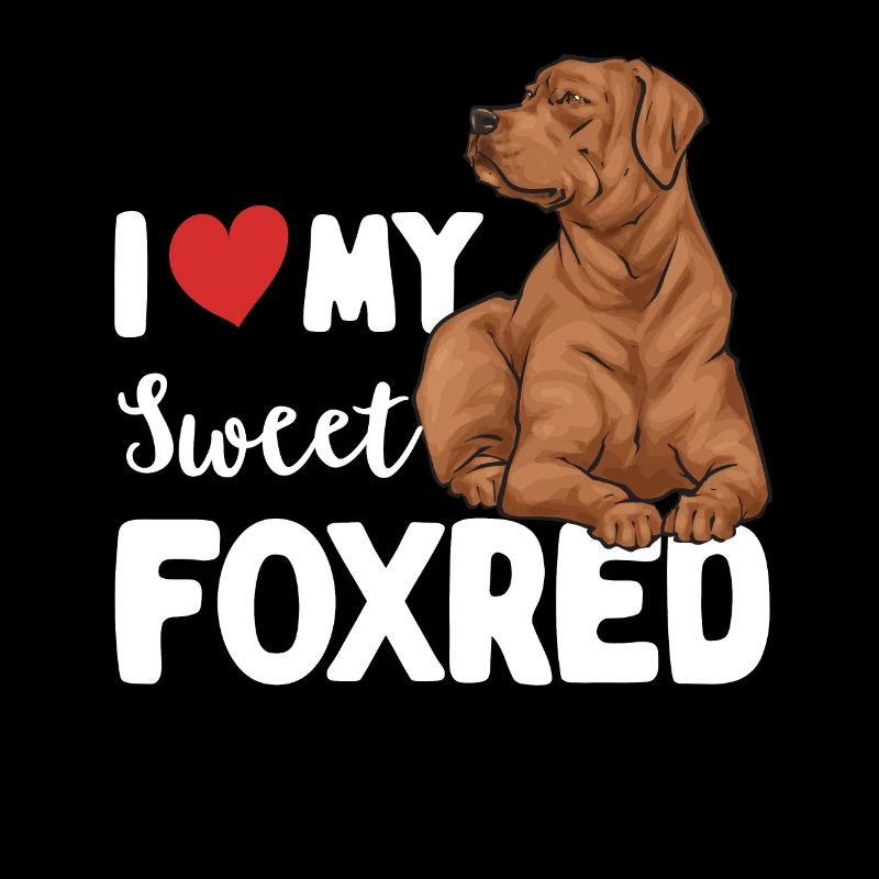Fuchsroter Labrador Retriever Fox Red Labrador
