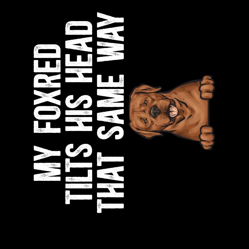 Fuchsroter Labrador Retriever Fox Labrador rouge