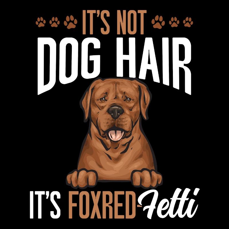 Fuchsroter Labrador Retriever Fox Red Labrador