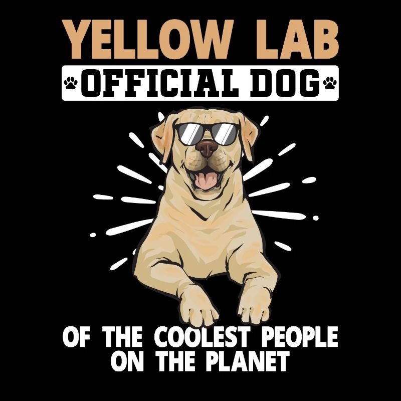 Yellow Labrador Retriever
