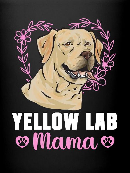 Labrador Retriever jaune