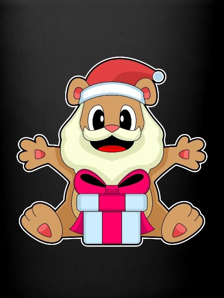 Bear Christmas Package