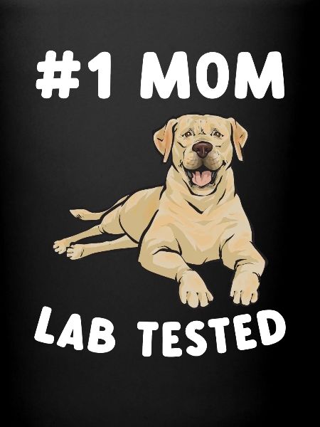 Labrador Retriever jaune