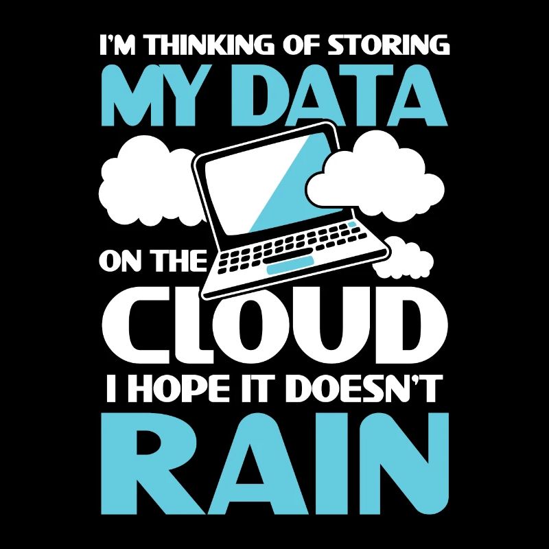 I'm Thinking Of Storing My Data On The Cloud