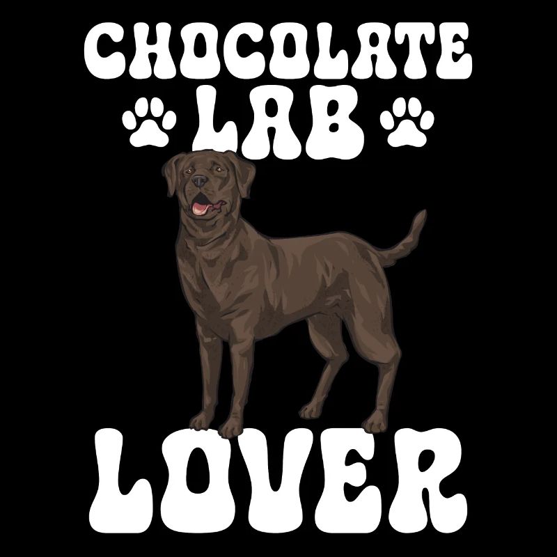Chien Labrador Retriever brun chocolat