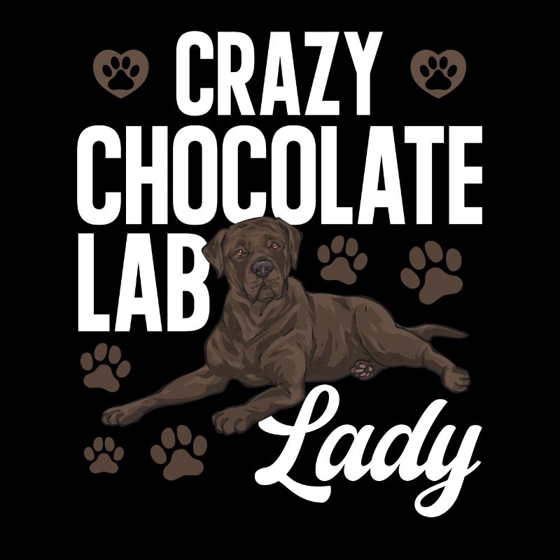 Chien Labrador Retriever Brun Chocolat
