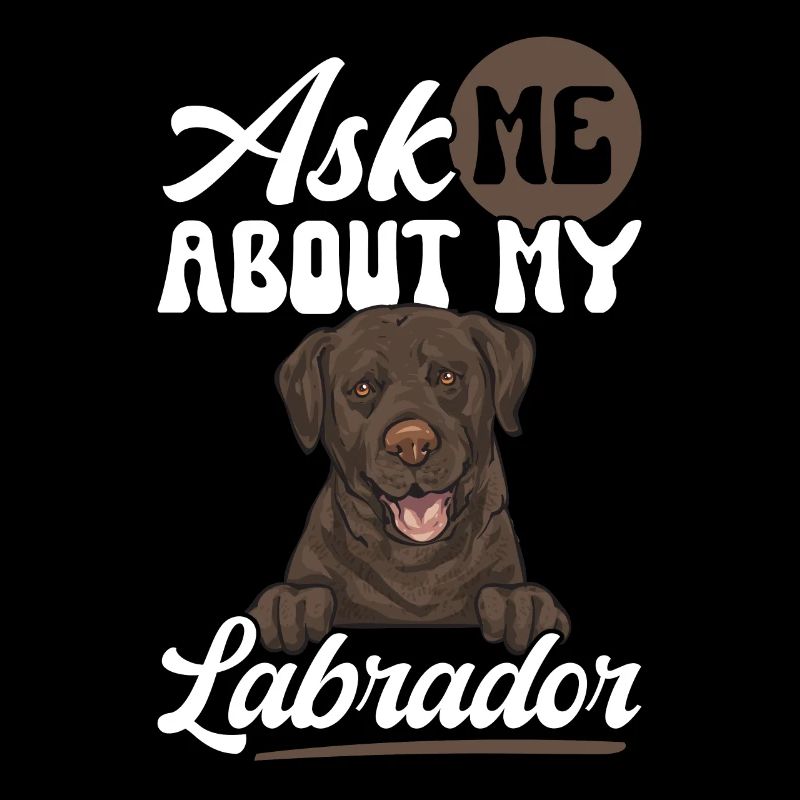 Chien Labrador Retriever brun chocolat