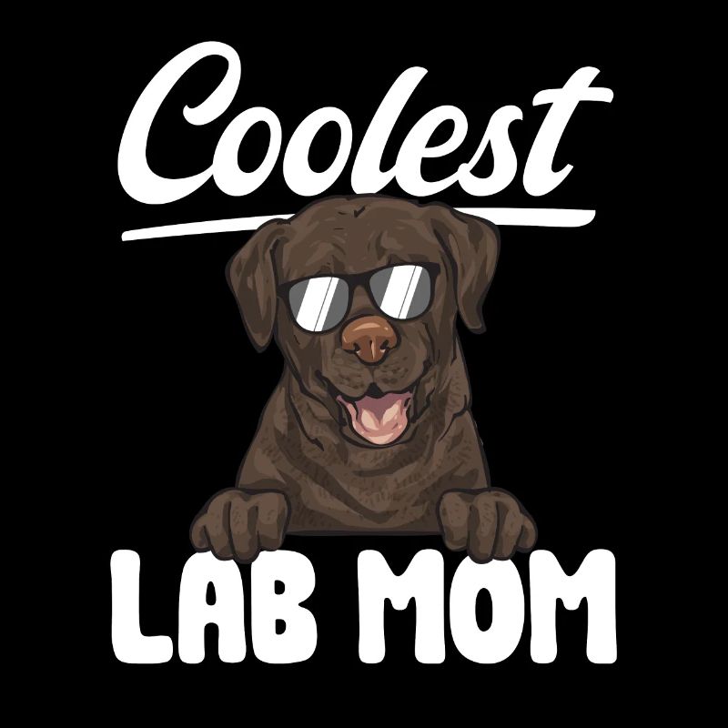 Chocolate Brown Labrador Retriever Dog