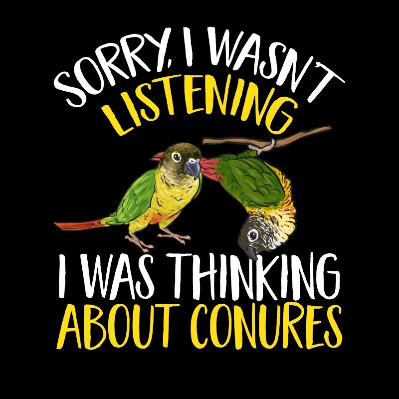 Perruche Molina Perroquet Perruche oiseau