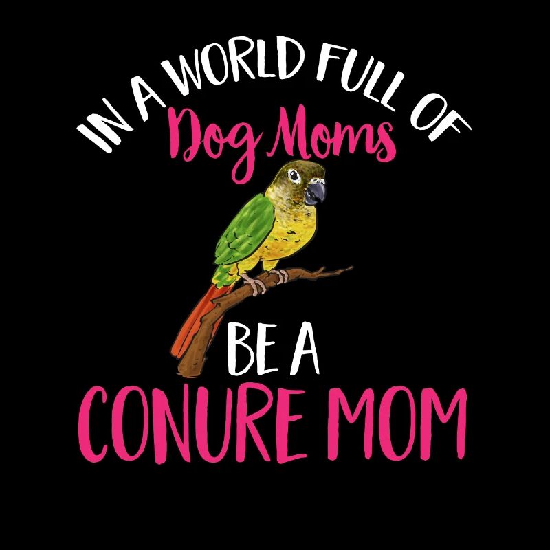 Molina Parakeet Parrot Bird Parakeet