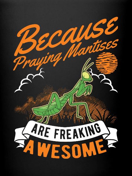 Gottesanbeterin Fangschrecke Mantis