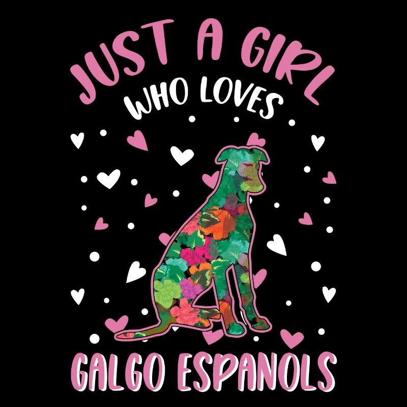 Galgo Espanol Mädchen Spanischer Windhund Galgo