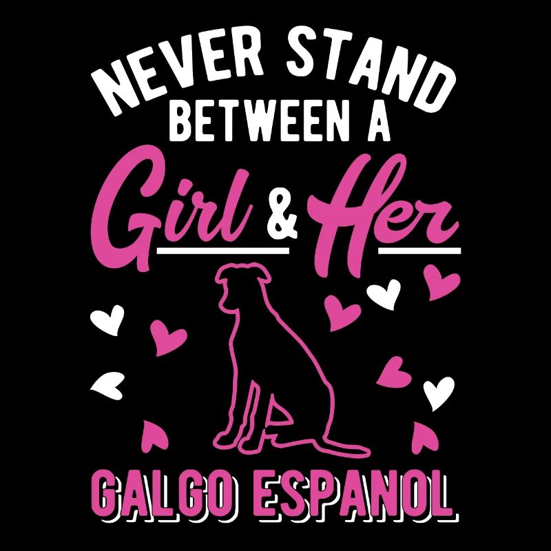 Galgo Espanol Mädchen Spanischer Windhund Galgo