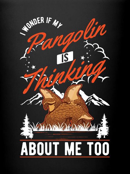 Pangolin Gift Pangolin