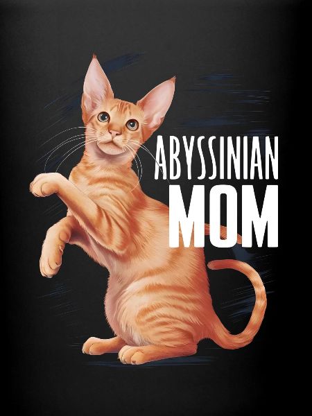 Katze Abessinier Geschenk