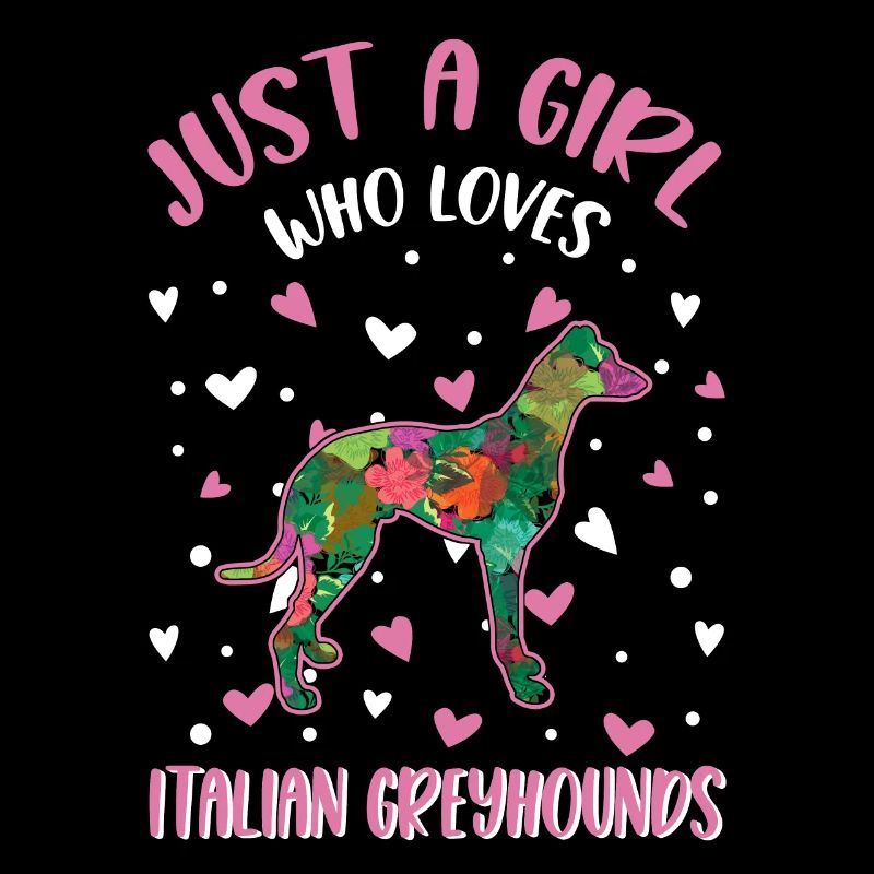 Italienischer Windhund Mädchen