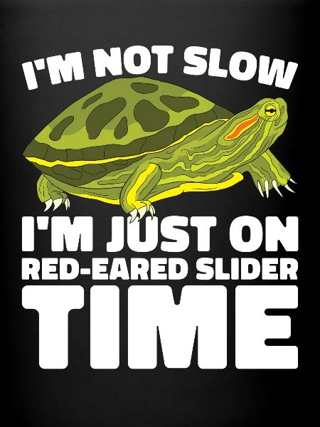 Red-eared Turtle Turtle