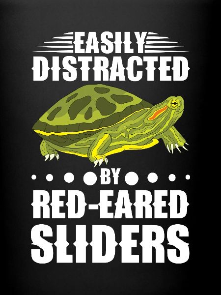 Red-eared Turtle Turtle