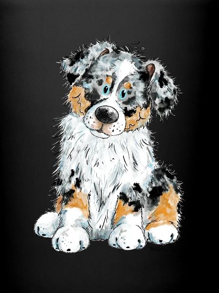 Australian Shepherd Dog Aussie