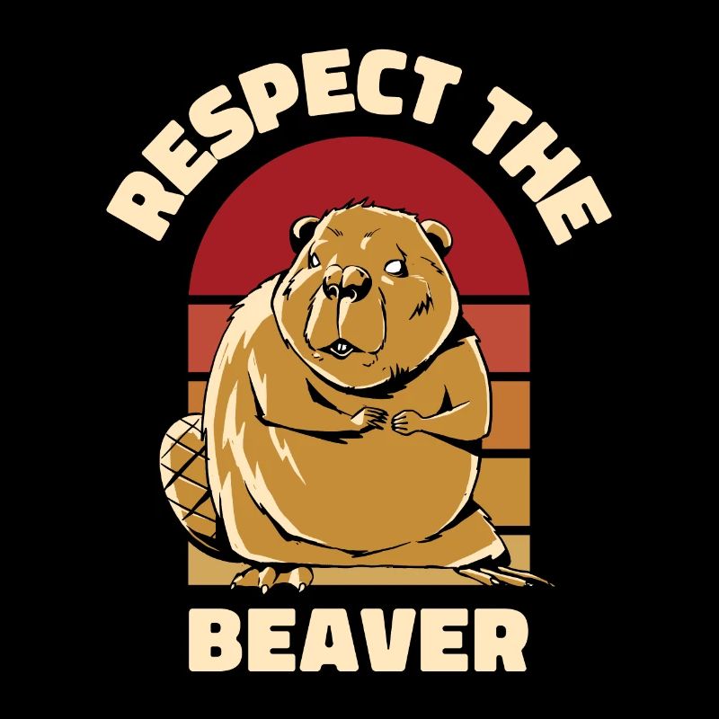 Respect Le Castor Eurasien Castor Canadensis