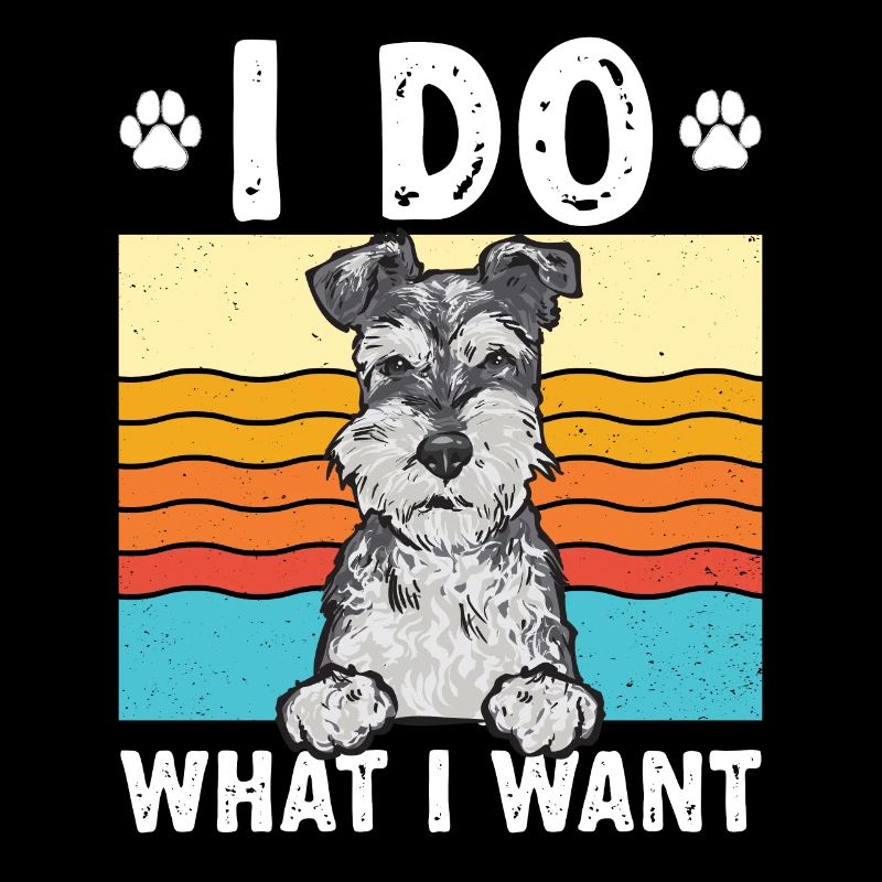 Zwergschnauzer Hund Schnauzer