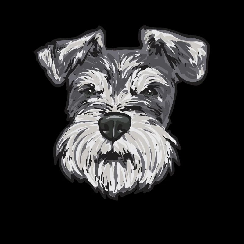 Zwergschnauzer Hund Schnauzer