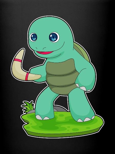Turtle Boomerang