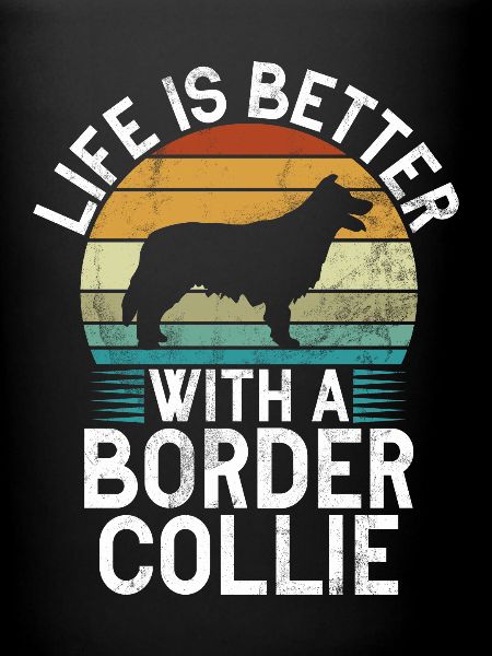 Cadeaux Border Collie