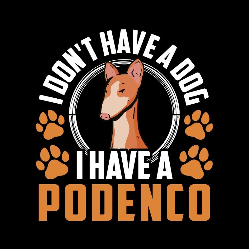 Podenco Windhund Habe einen Podenco