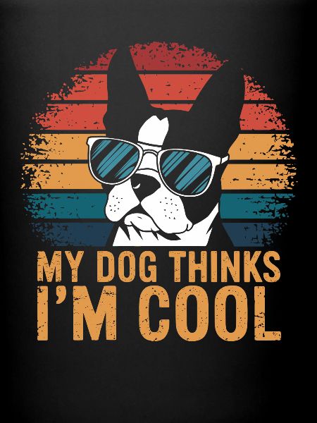 Boston Terrier Min hund synes, jeg er sej
