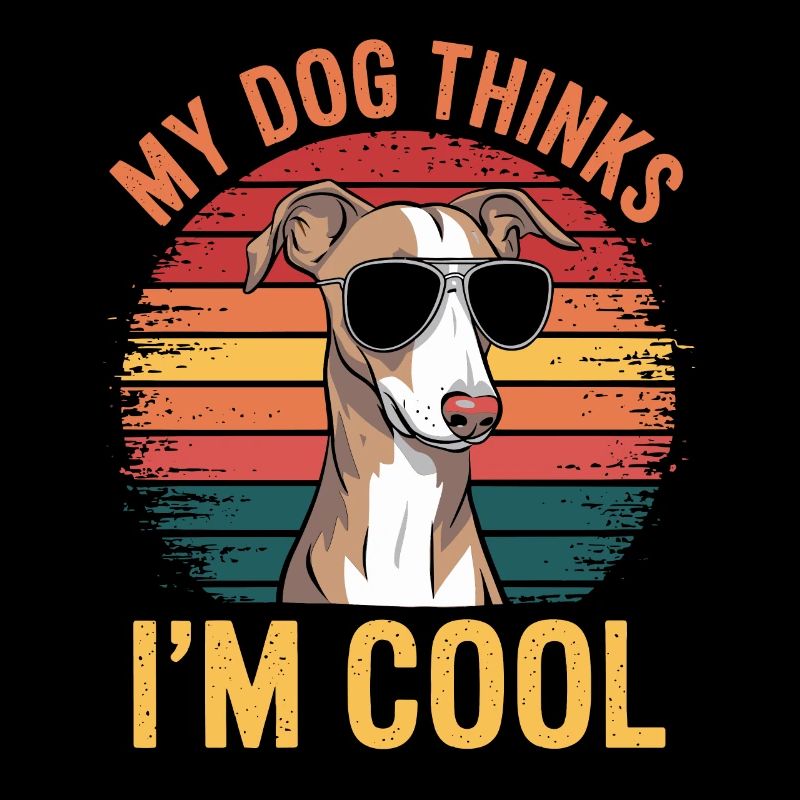 Whippet Mon chien pense que je suis cool