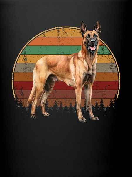 Belgian Malinois